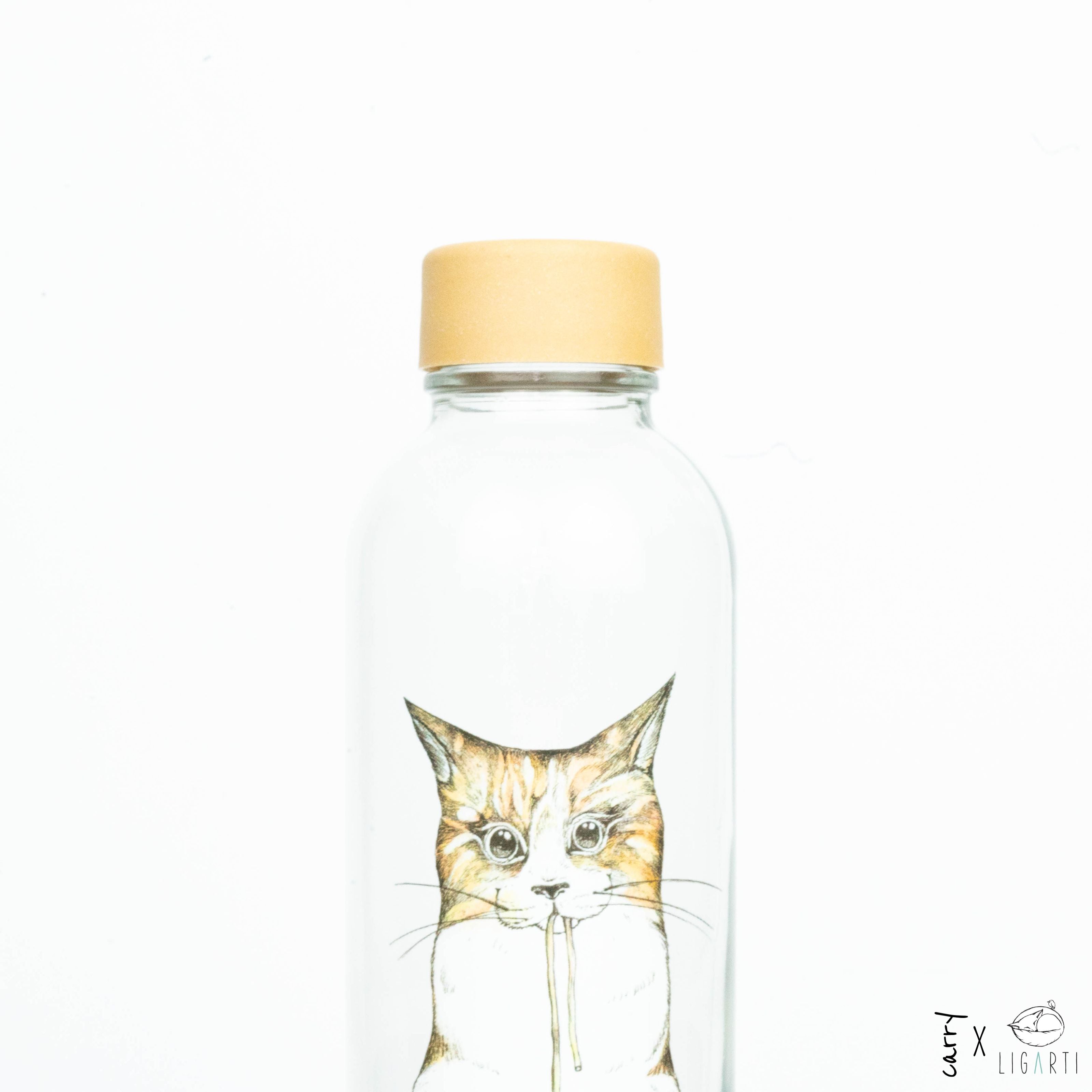 RAMEN CAT 0.7 l glass bottle