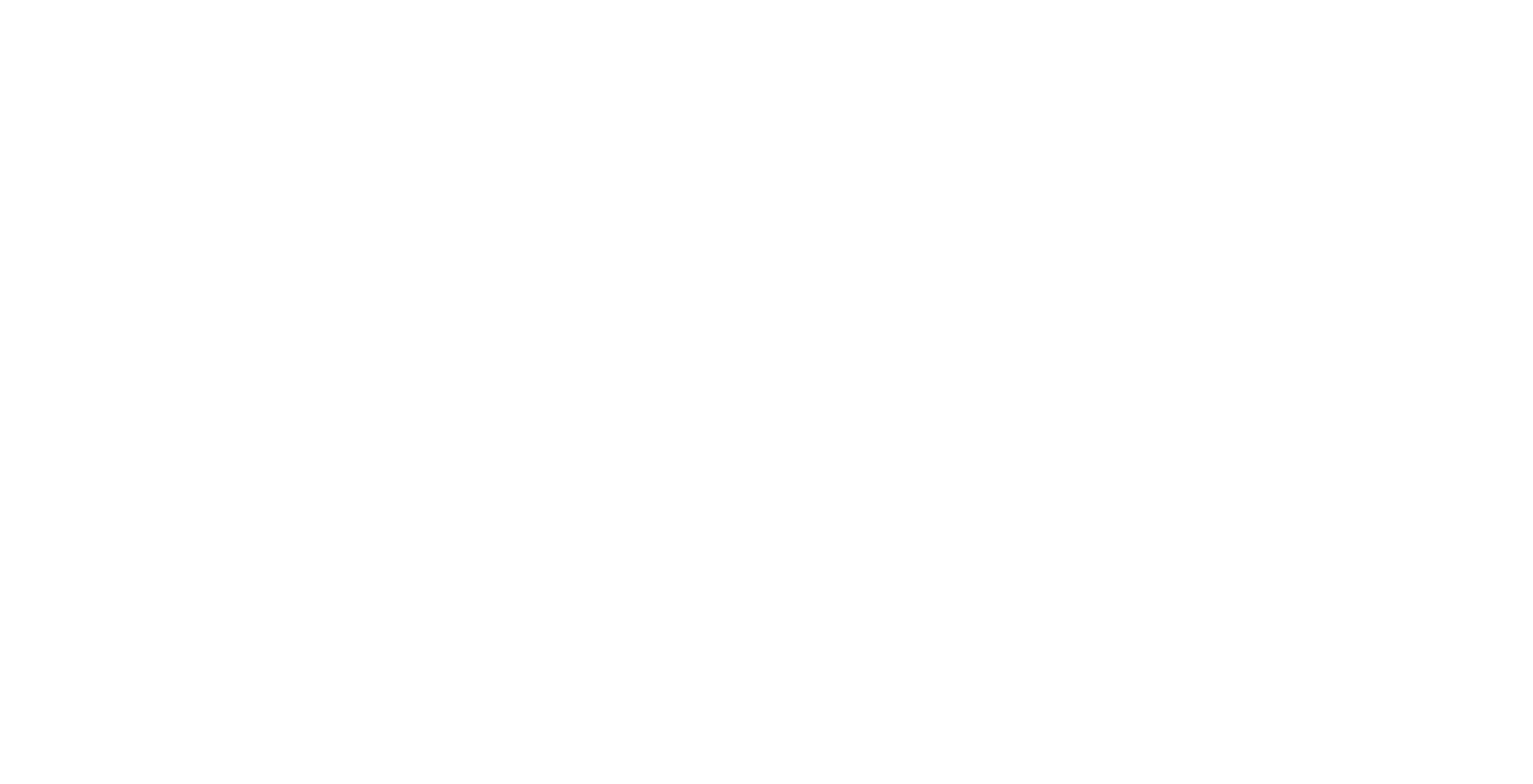 Carrybottles Logo mit 'carry' Schriftzug – nachhaltige Glasflaschen für umweltbewusstes Trinken