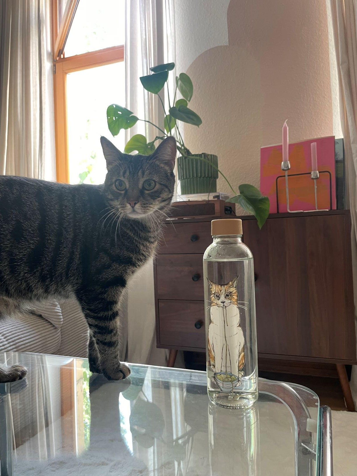 700ml Trinkflasche aus Glas mit niedlichem Katzenmotiv – mit jeder Flasche Spende an das Berliner Tierheim