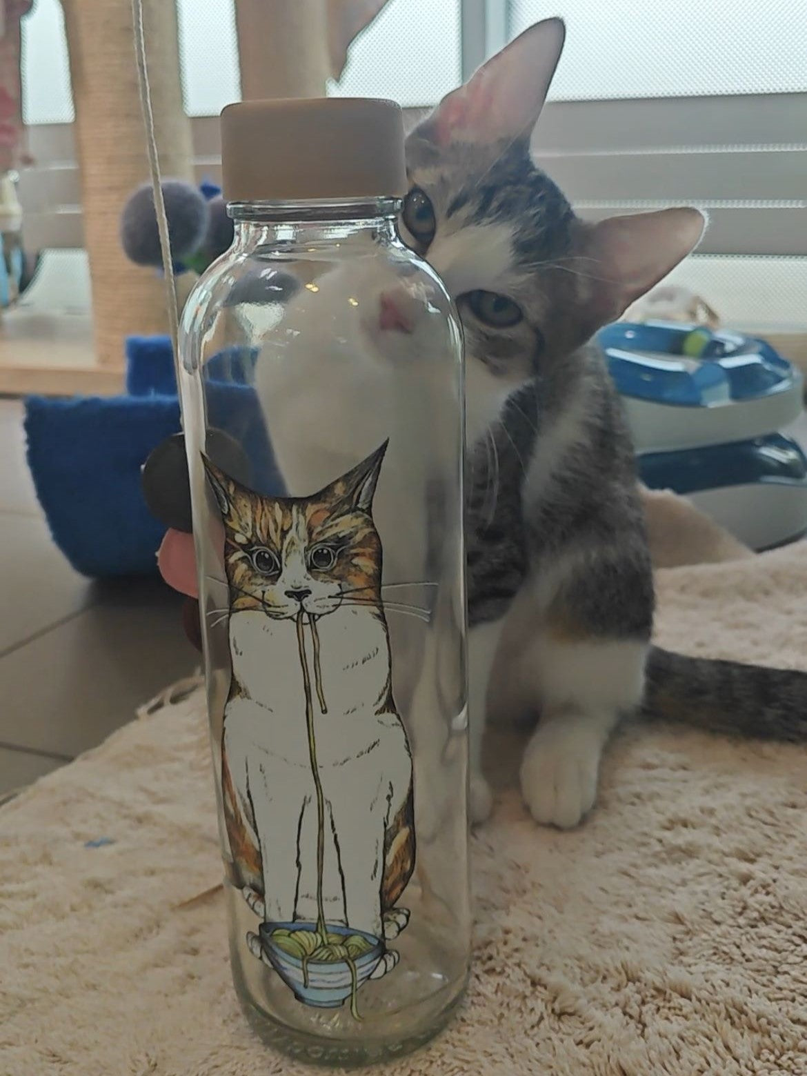 700ml Trinkflasche aus Glas mit niedlichem Katzenmotiv – mit jeder Flasche Spende an das Berliner Tierheim