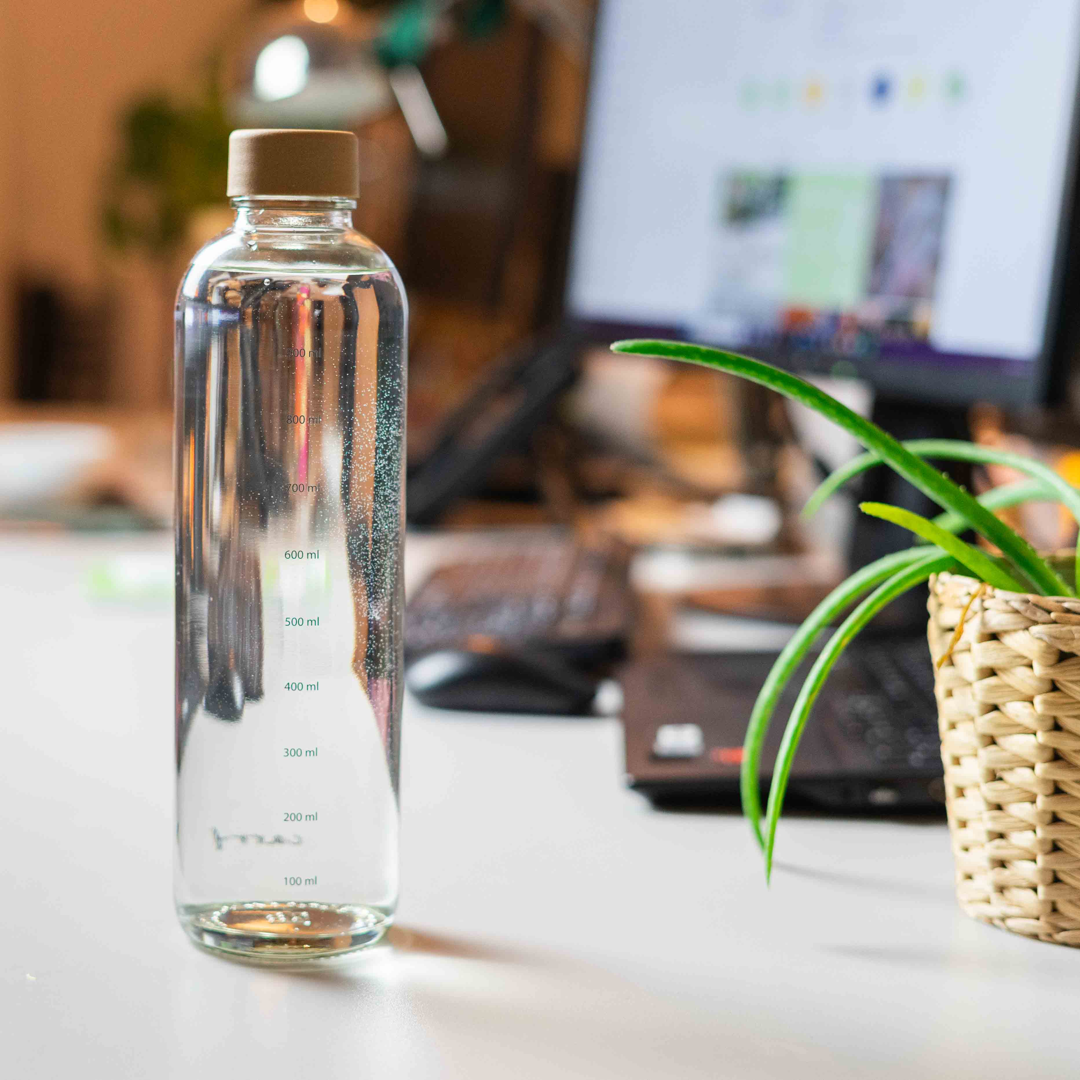 HYDRATION BOOSTER 1.0 l glass bottle