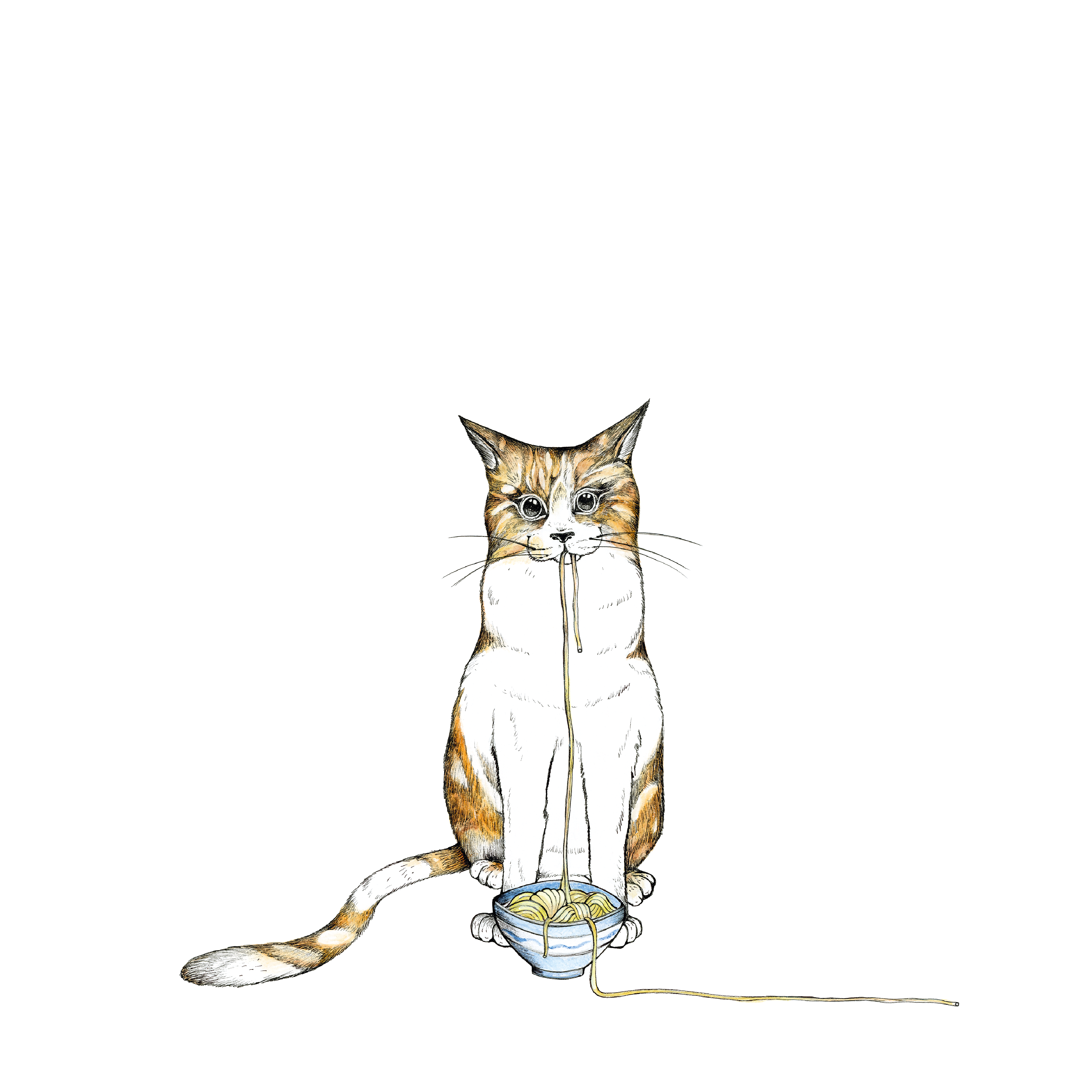 RAMEN CAT 0.7 l glass bottle