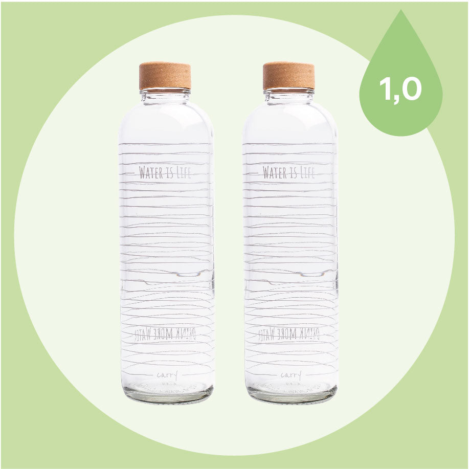 CARRY BUNDLE 1.0 l – CARRY Bottles
