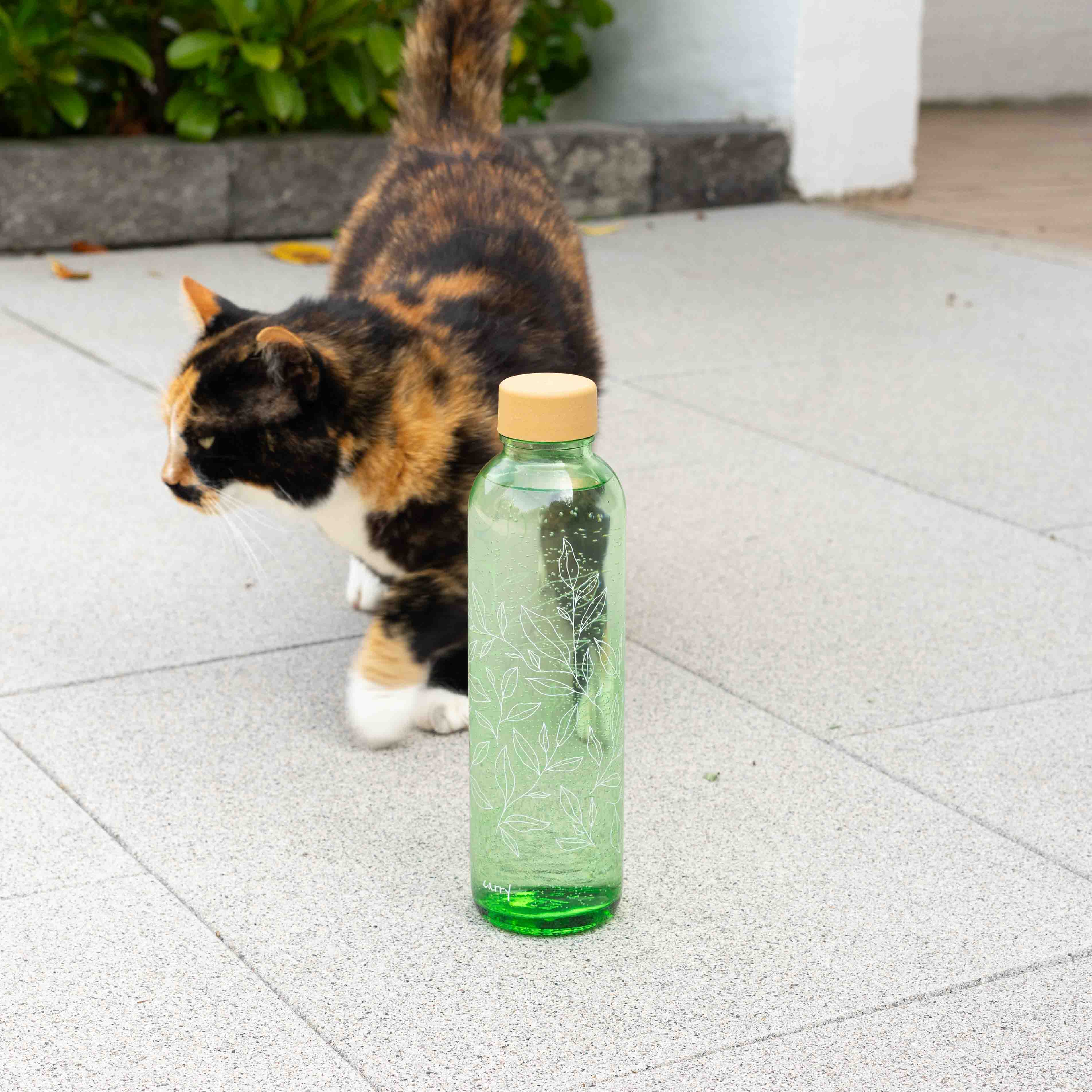 HARMONIE VERTE Bouteille en verre de 0,7 l