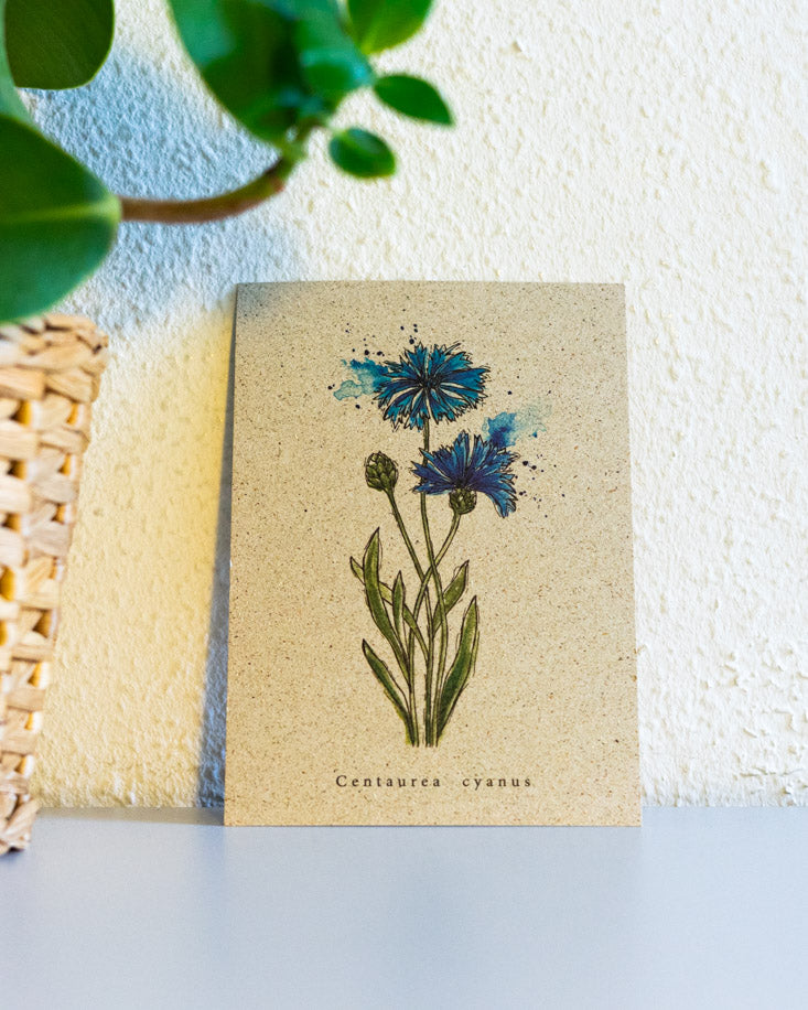 Small steps A6 postcard 