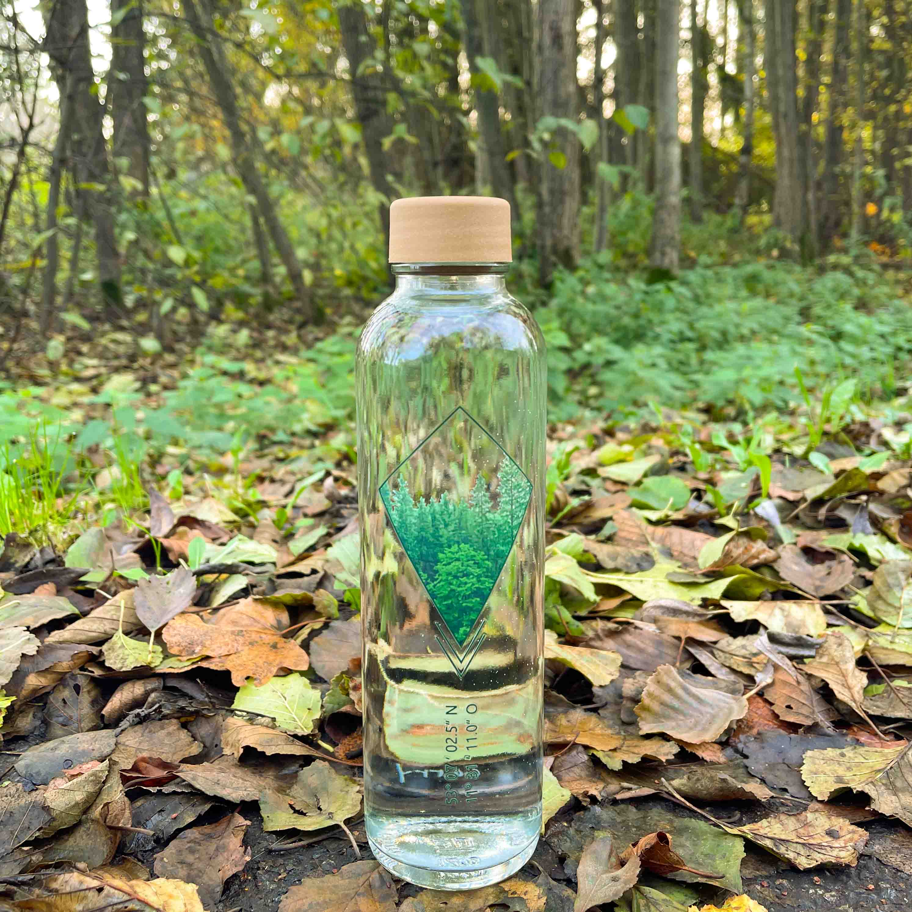 Into The Woods 0,7L CARRY Trinkflasche mit Waldmotiv und Koordinate für Urwald Spende