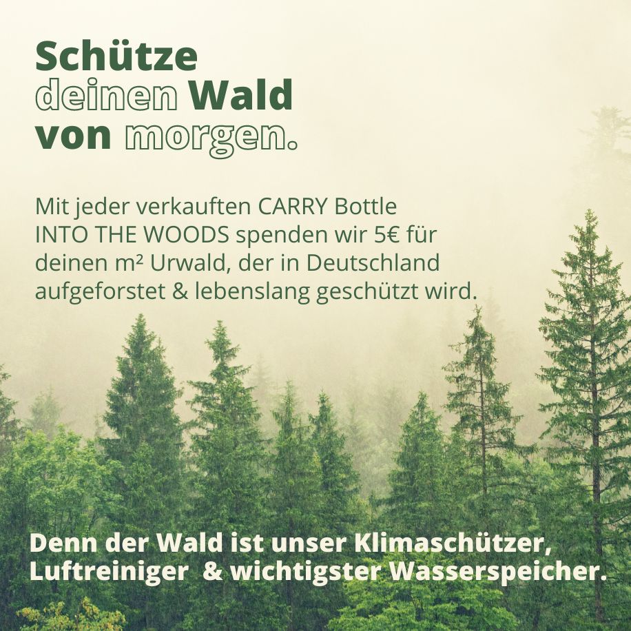 CARRY Bottles spenden und schützen deutschen Urwald