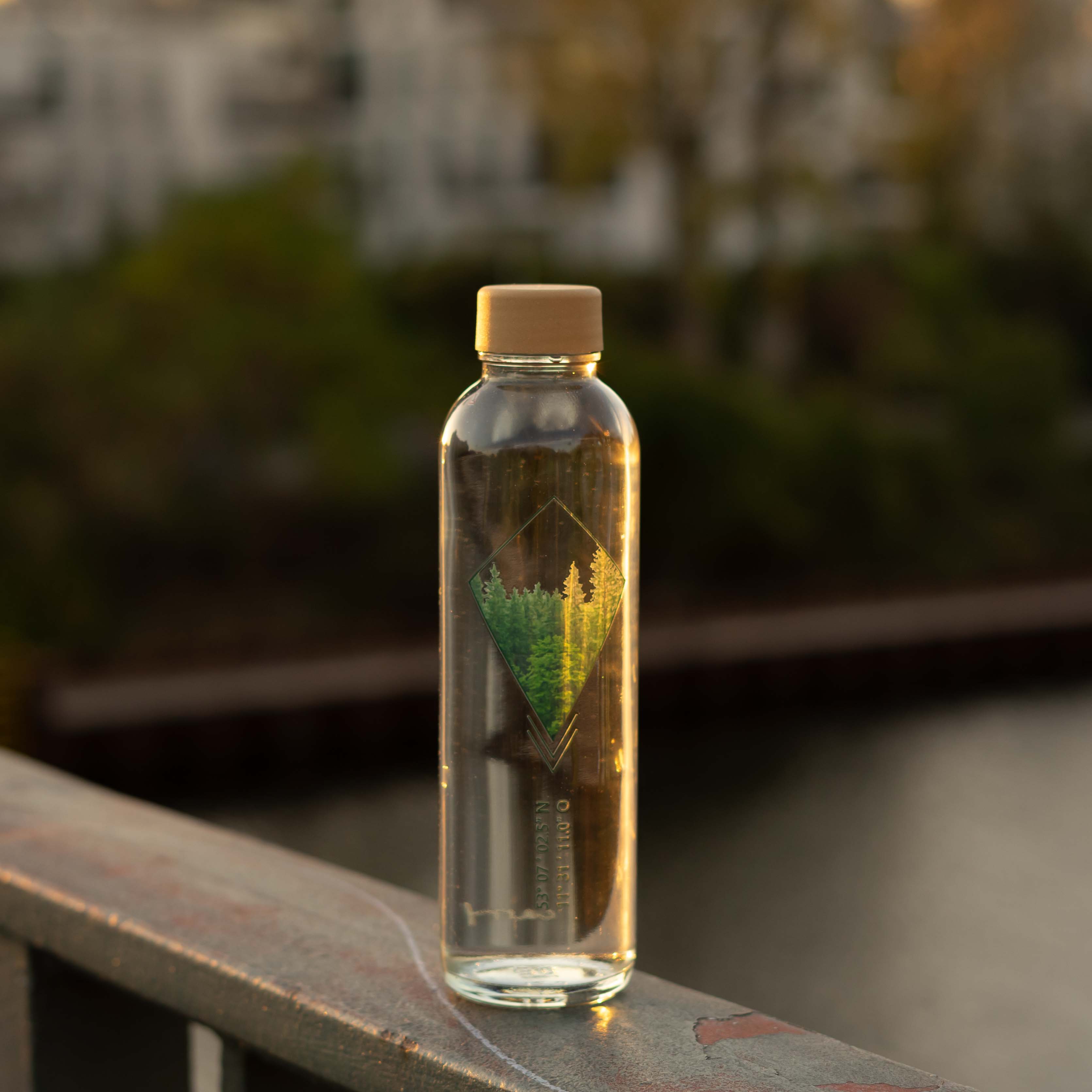 Into The Woods 0,7L Trinkflasche aus Glas mit Waldmotiv und Koordinate für Urwald Spende