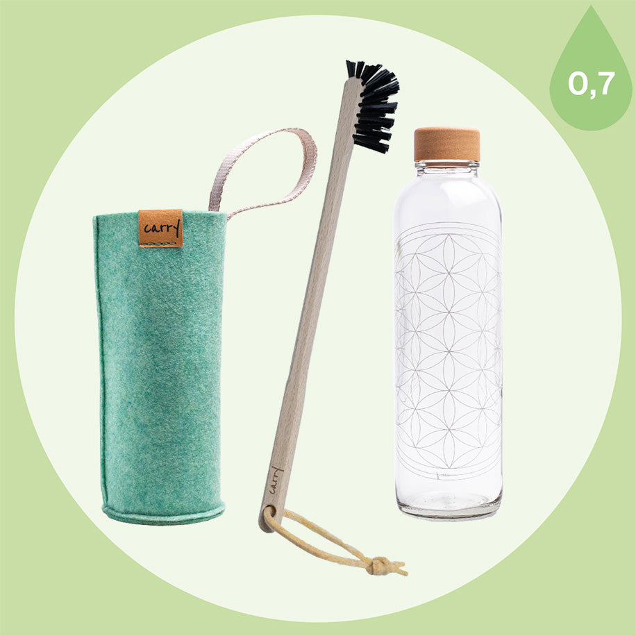 CARRY Bundle Set aus Trinkflasche aus Glas Flower of Life, Flaschenbürste und Schutzhülle minze