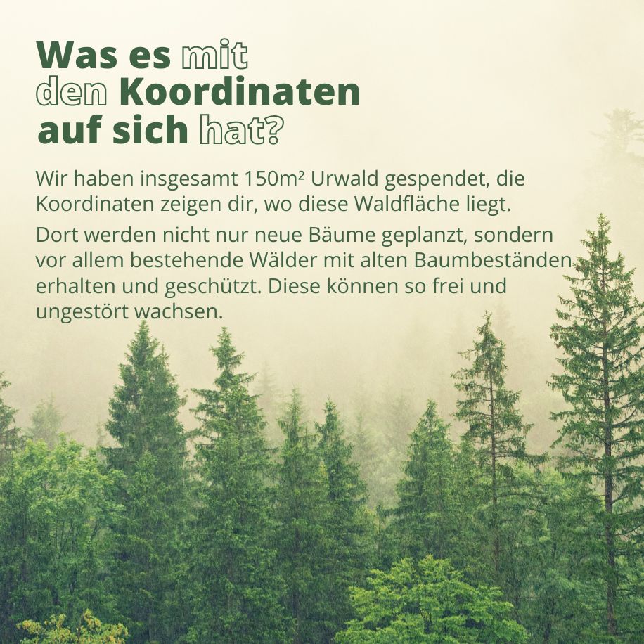 Spende für deutschen Urwald mit Koordinaten zuordnenbar